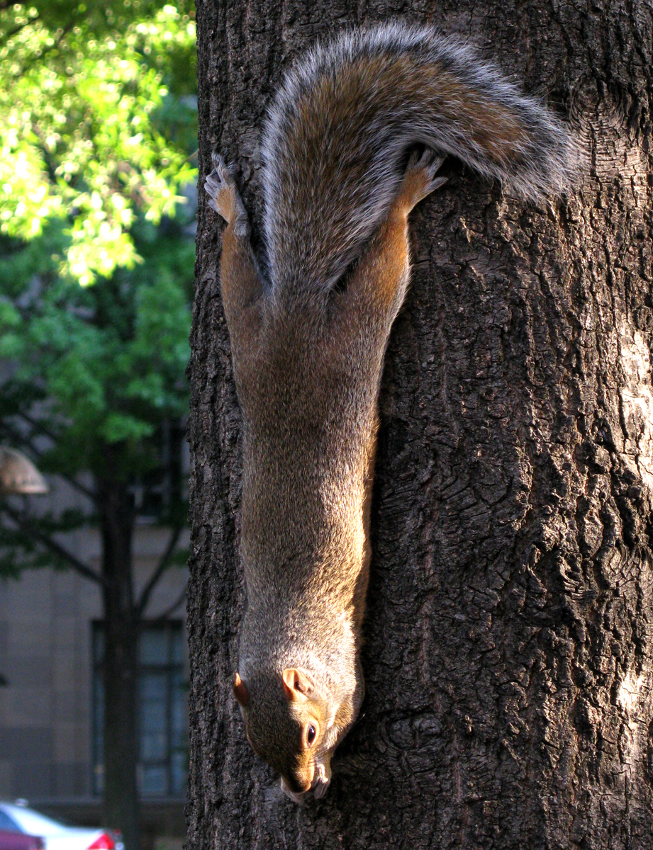 hangin out