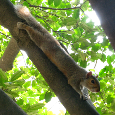hanging out