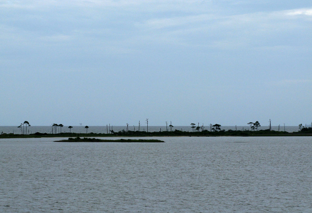 dauphin island