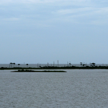 dauphin island