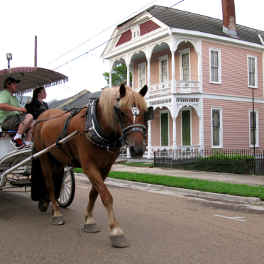 natchez