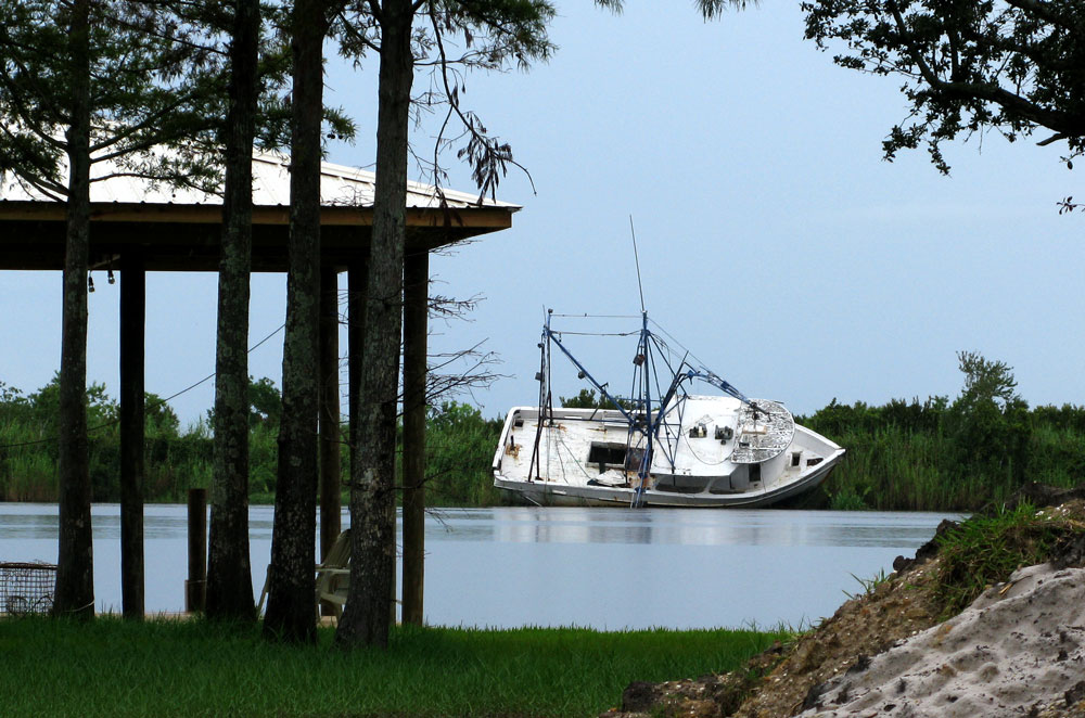bayou