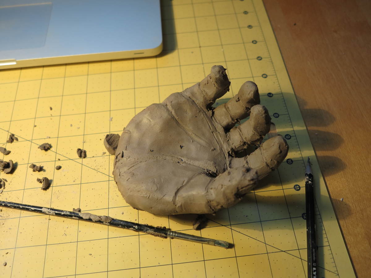 sensory homonculus