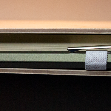 forest fire & caran d'ache