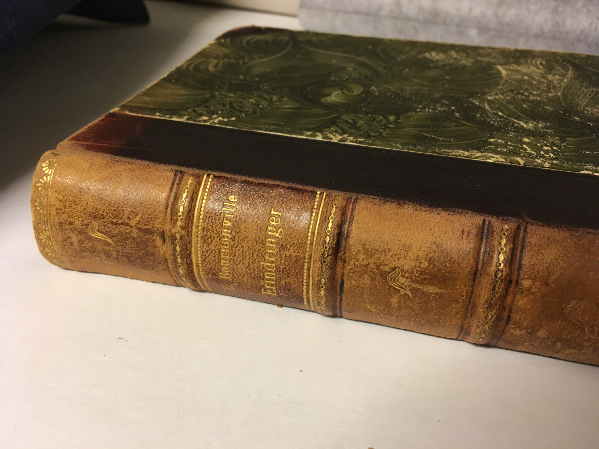 Odd Wiking's book