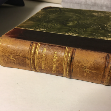 Odd Wiking's book
