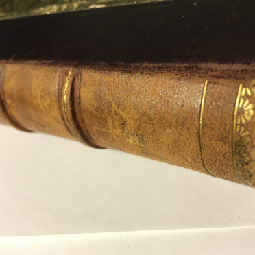 Odd Wiking's book
