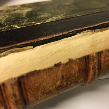 Odd Wiking's book