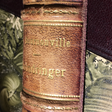 Odd Wiking's book