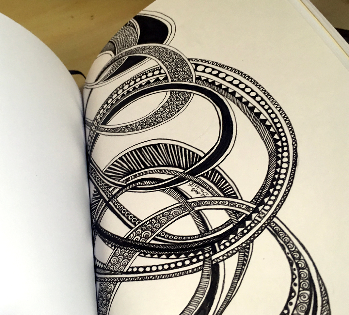other side of the snake