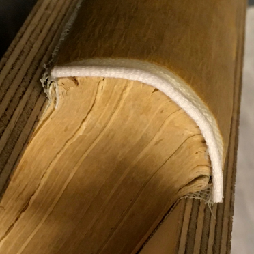 new spine