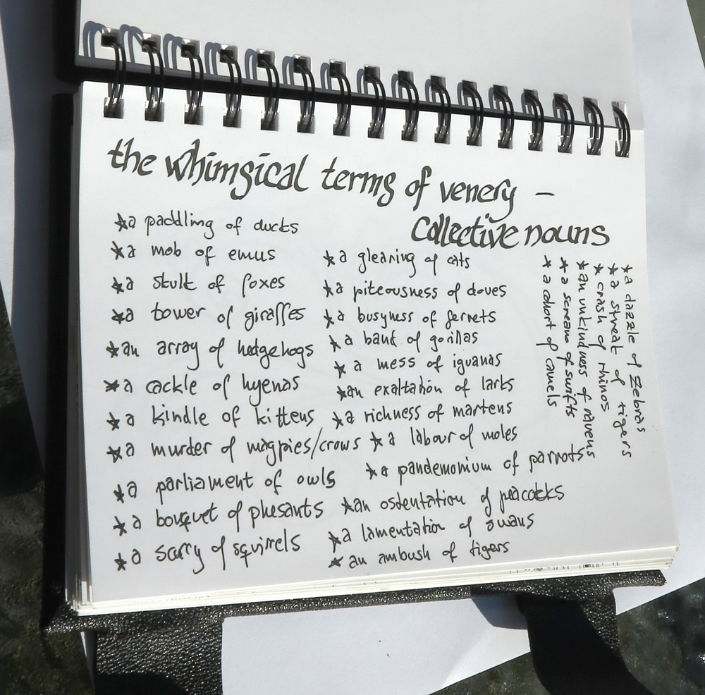yisela's book - list of collective nouns