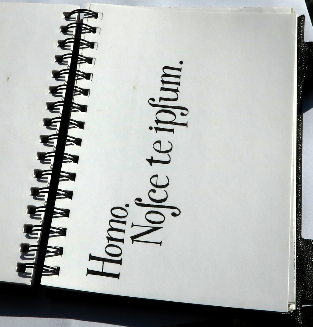 homo. nosce te ipsum