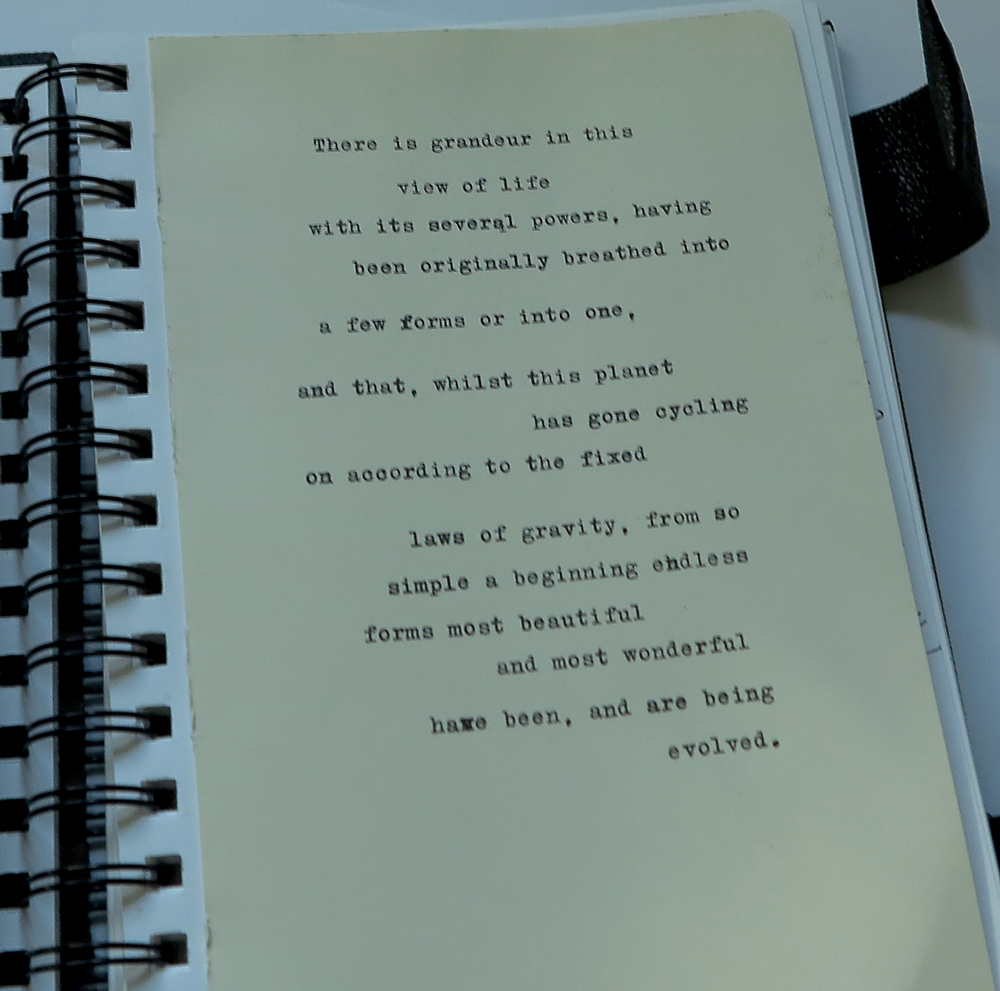 yisela's book - darwin