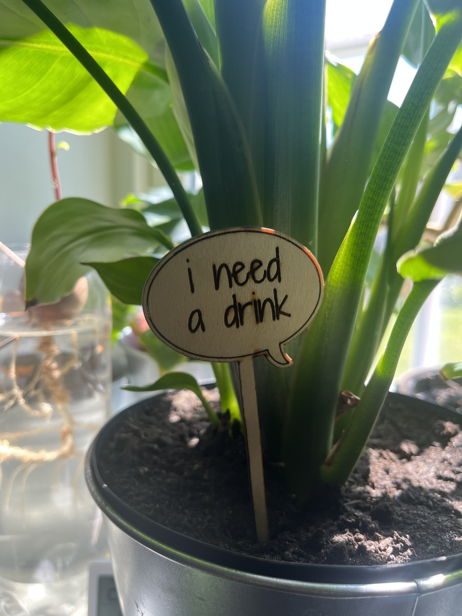 i need a drink