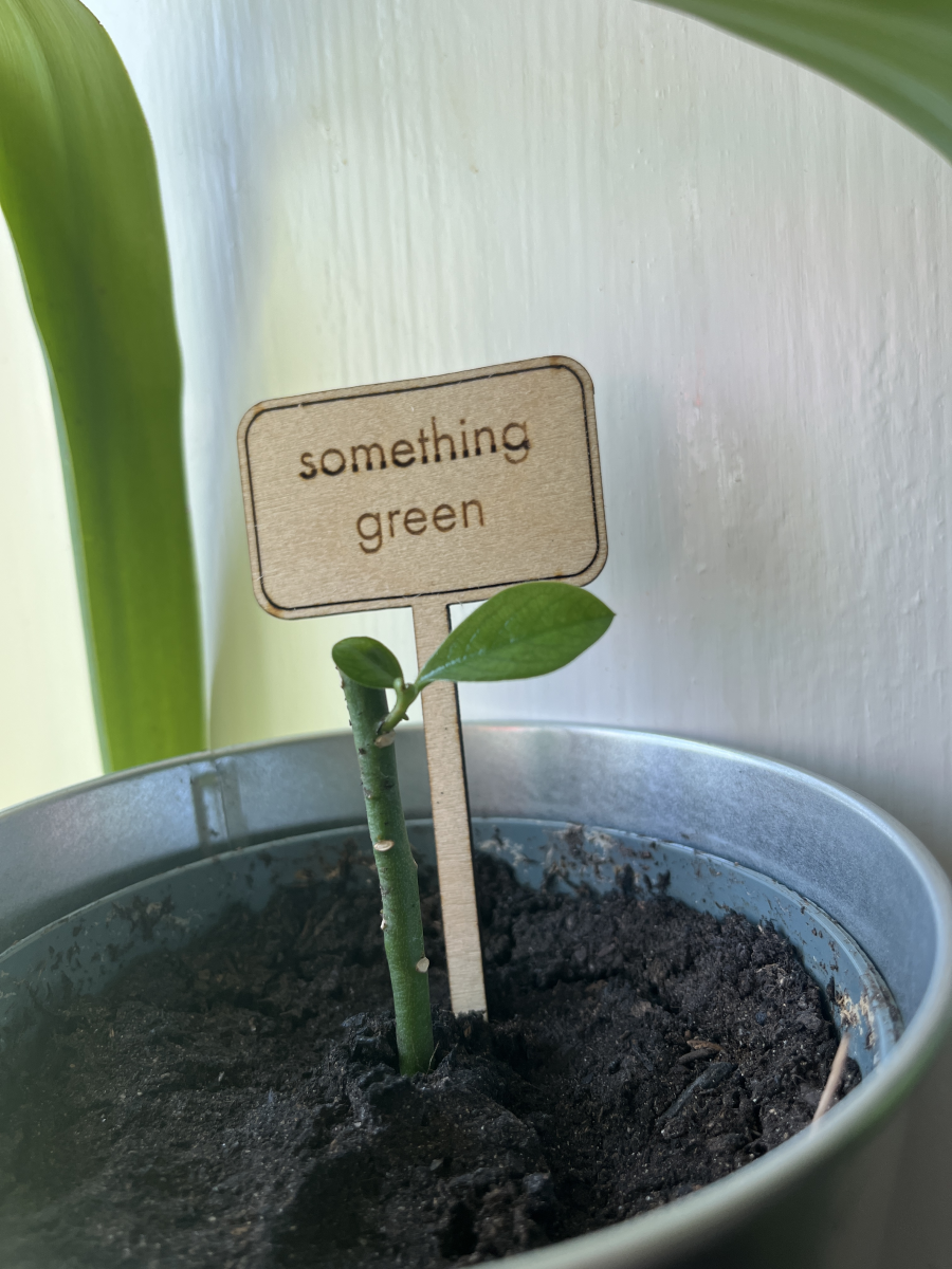 something green