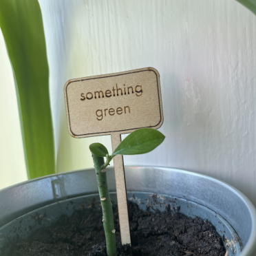 something green