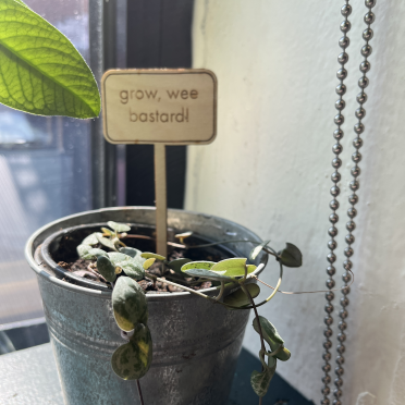 grow, wee bastard