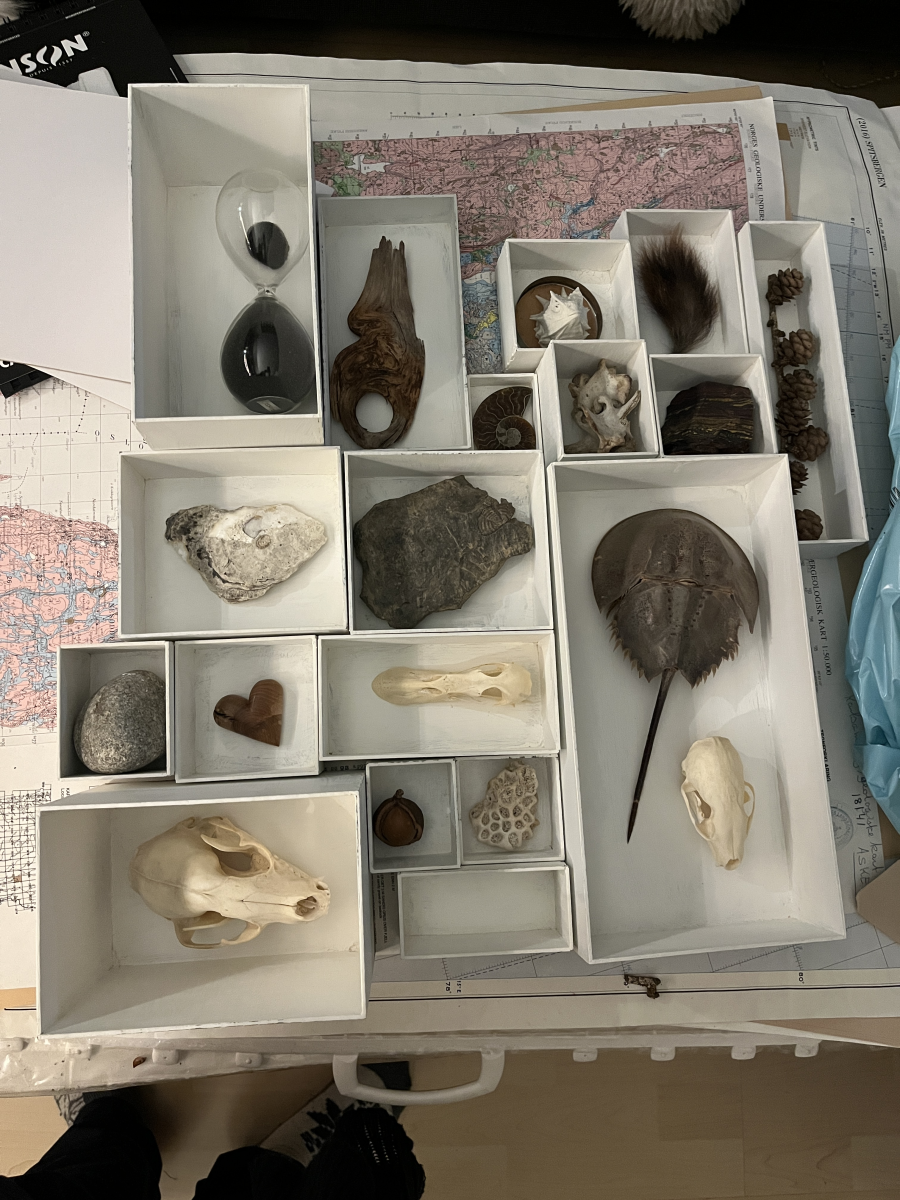 cabinet of curiosities
