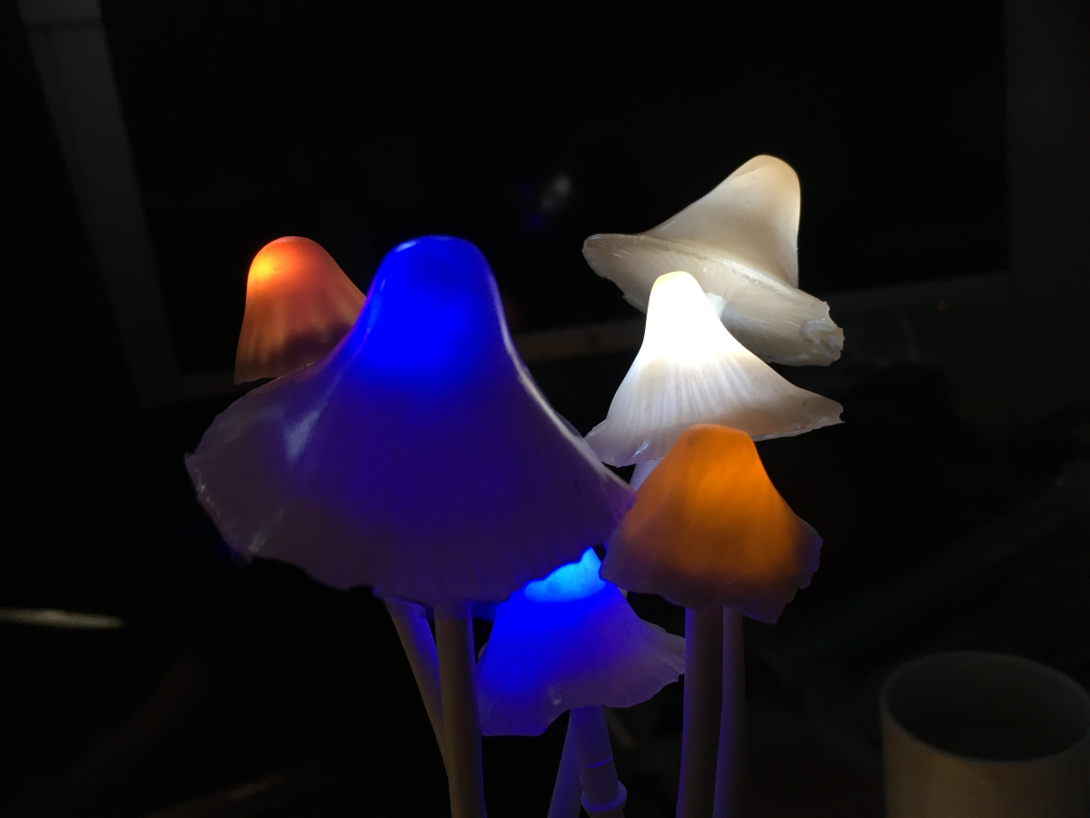 shrooms