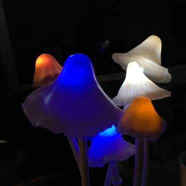 shrooms