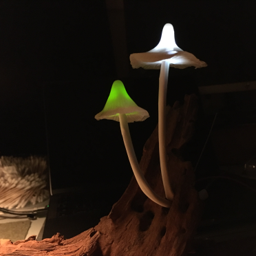 shrooms