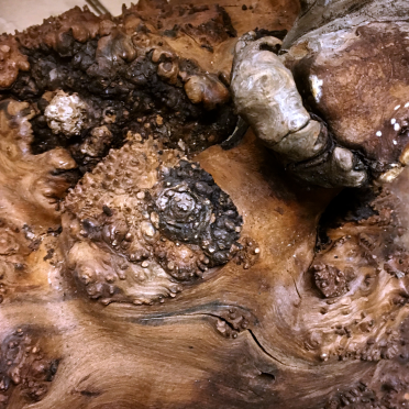 apple wood