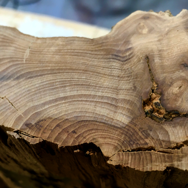 apple wood