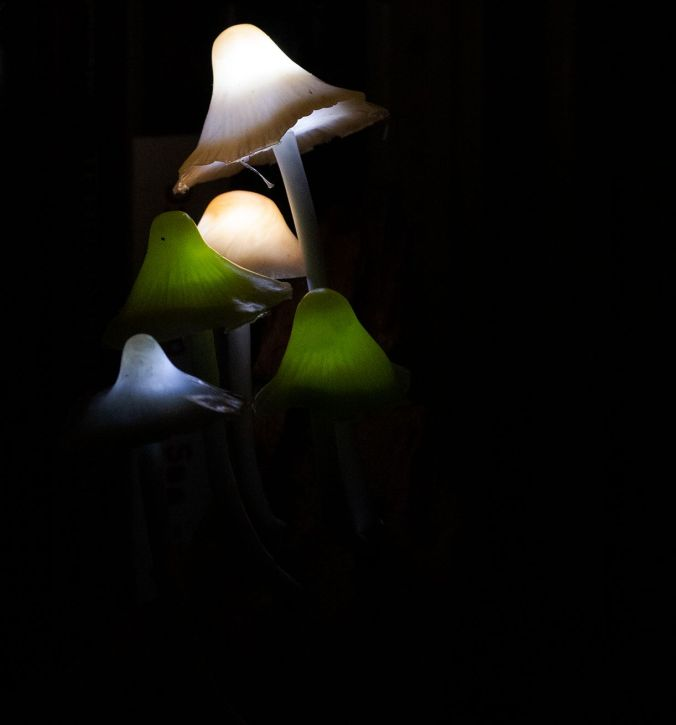 led-light mushrooms