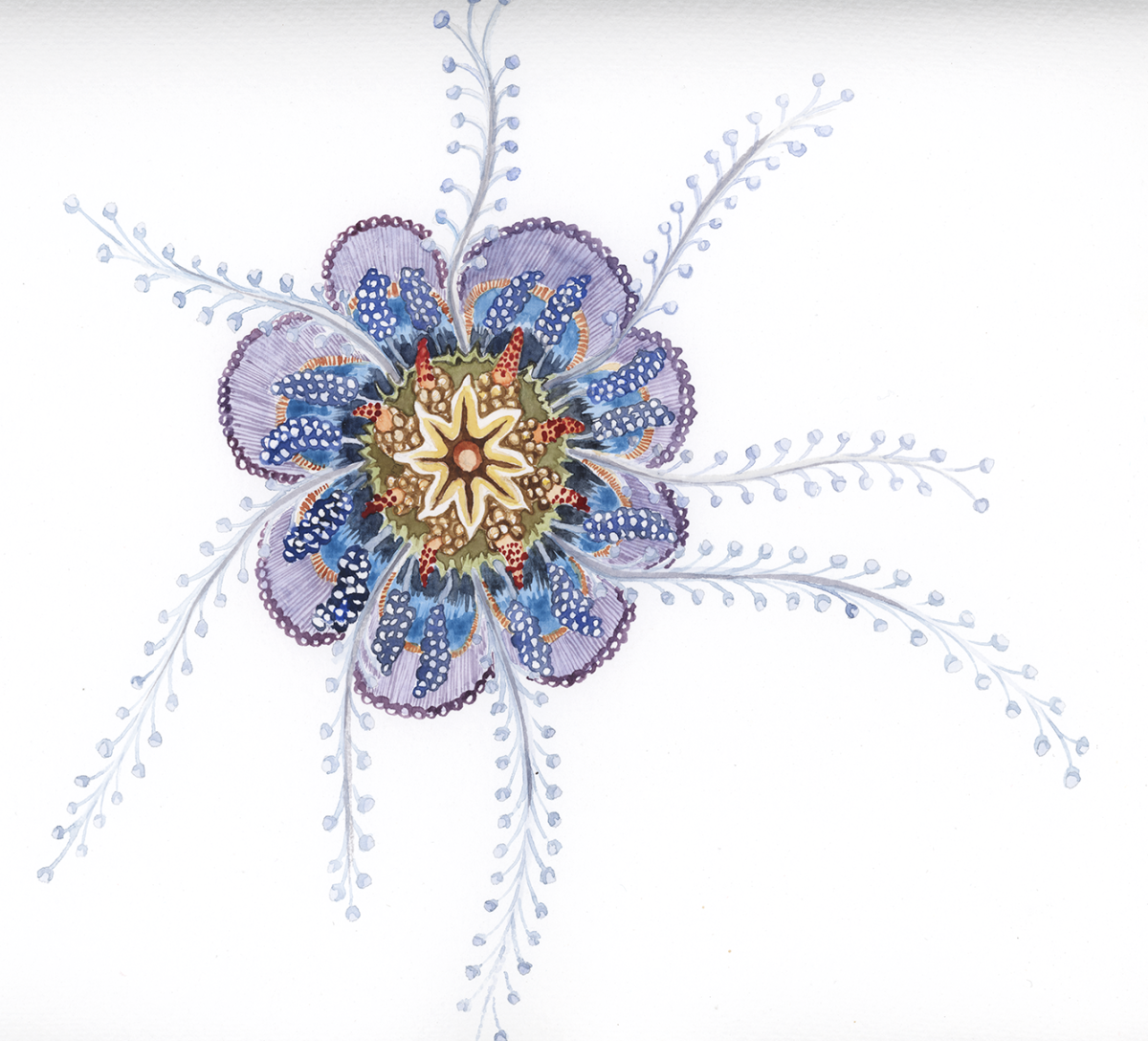 haeckel