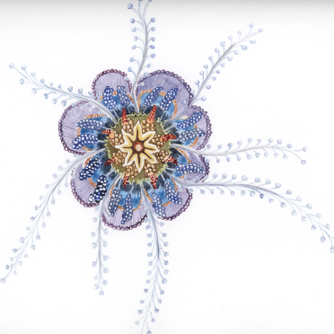 haeckel