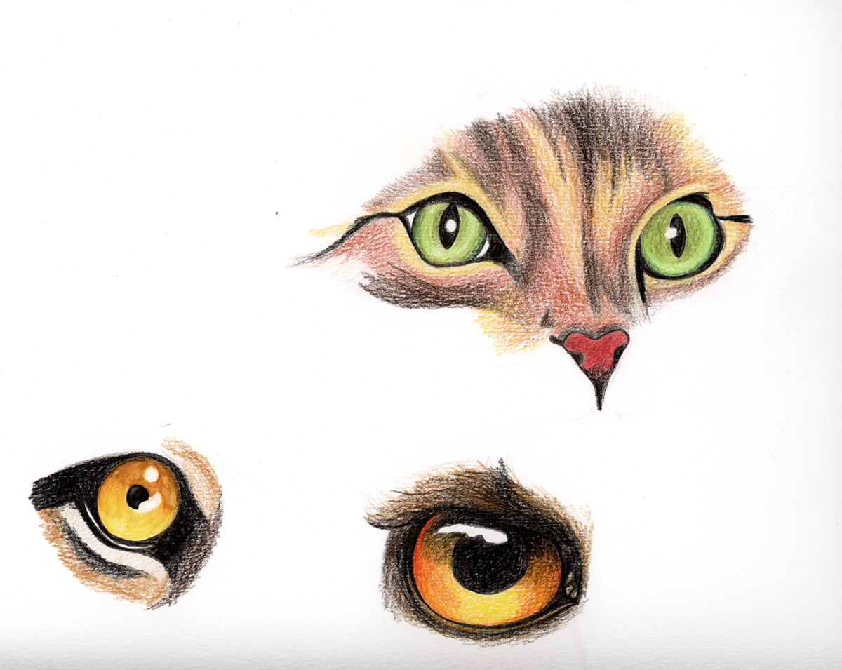 eyes