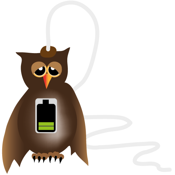charging-owl