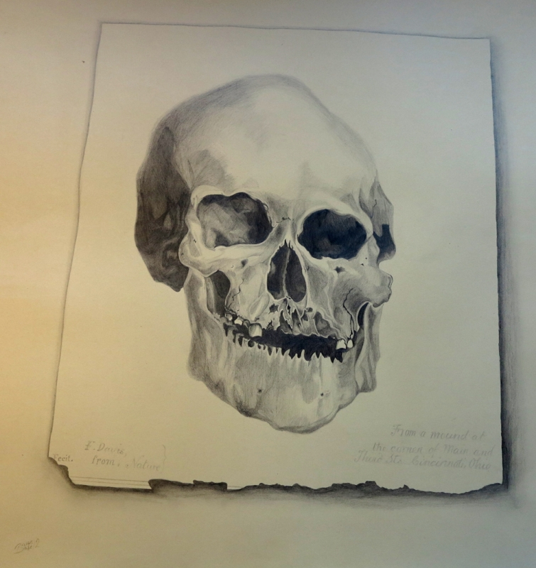 skull