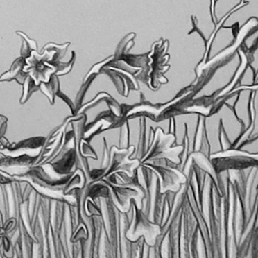 Mechanical owls: narcissus, thorns and ginko