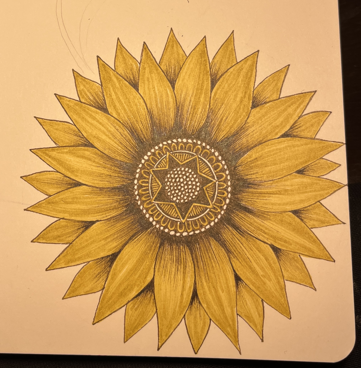 sunflower