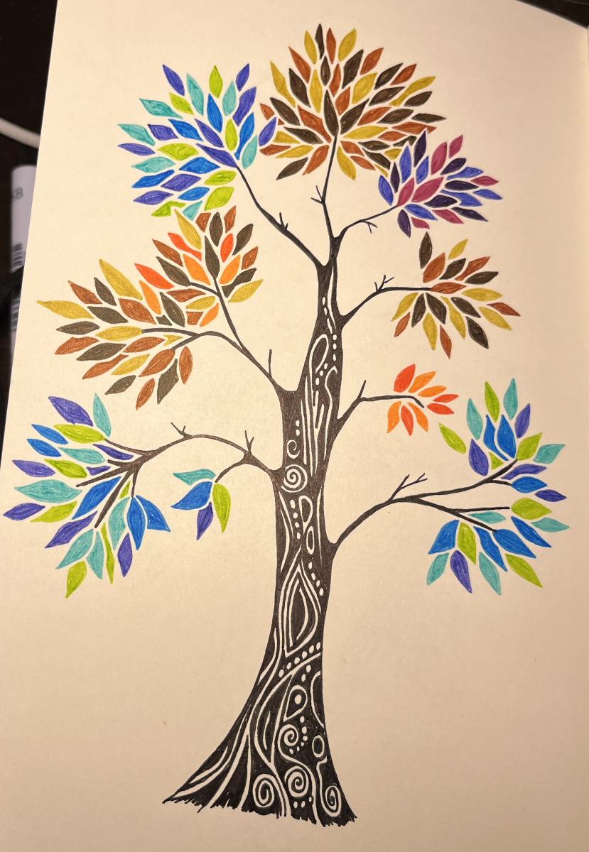 spring-summer-autumn