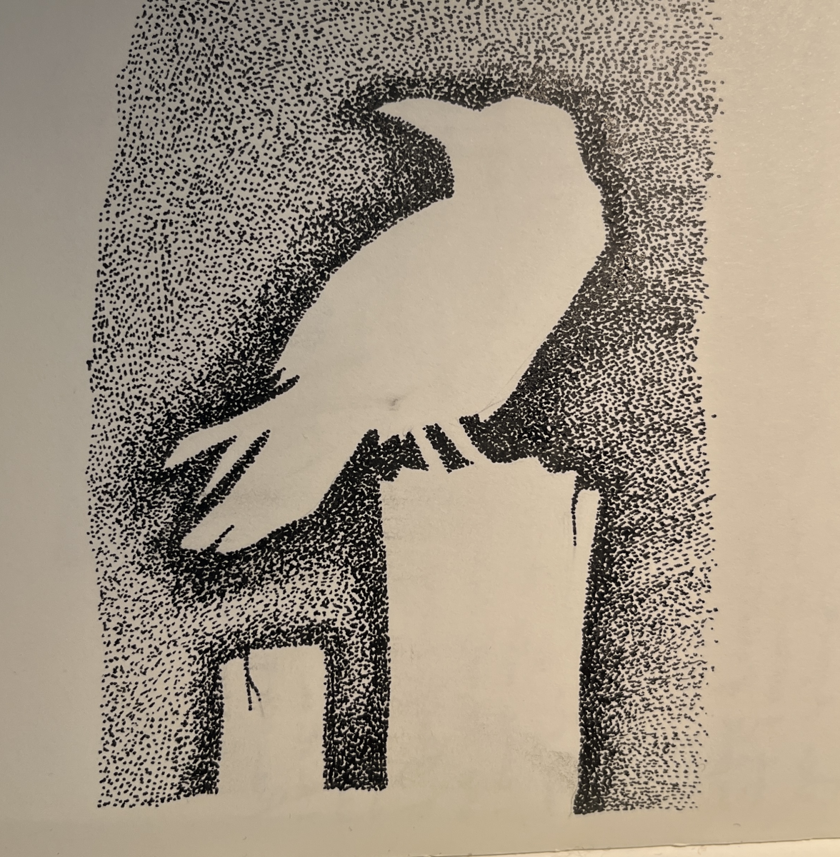 corvid