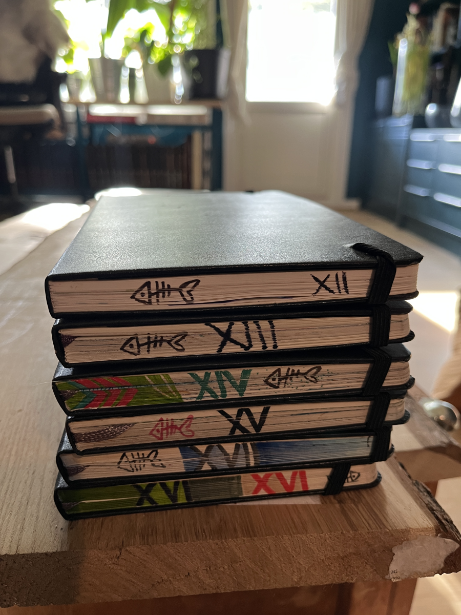 moleskines