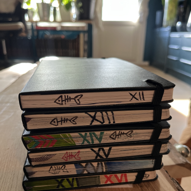 moleskines