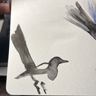 magpie