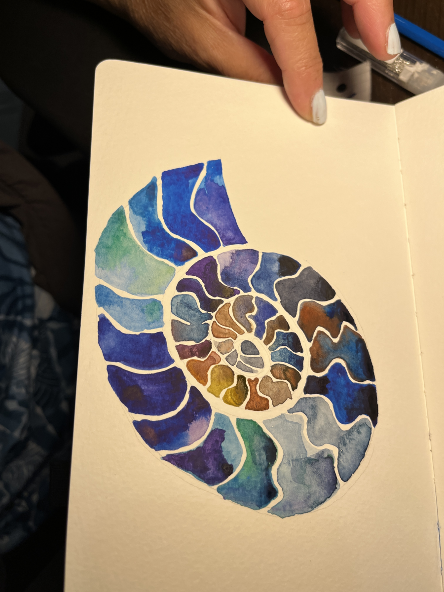 ammonite