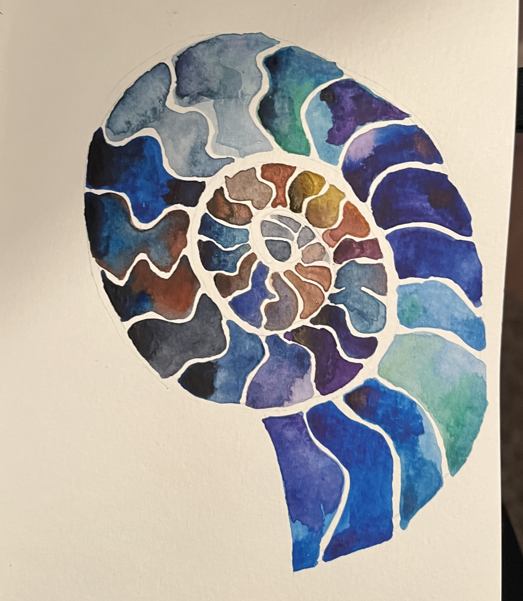 ammonite