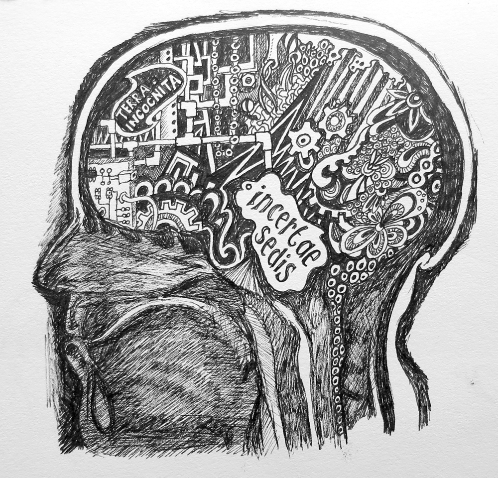 my brain