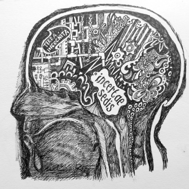 my brain