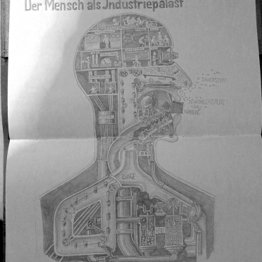 fritz kahn