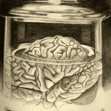 brain in a jar