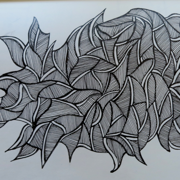 wings
