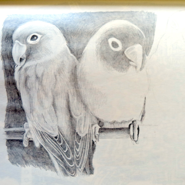 wee birdies