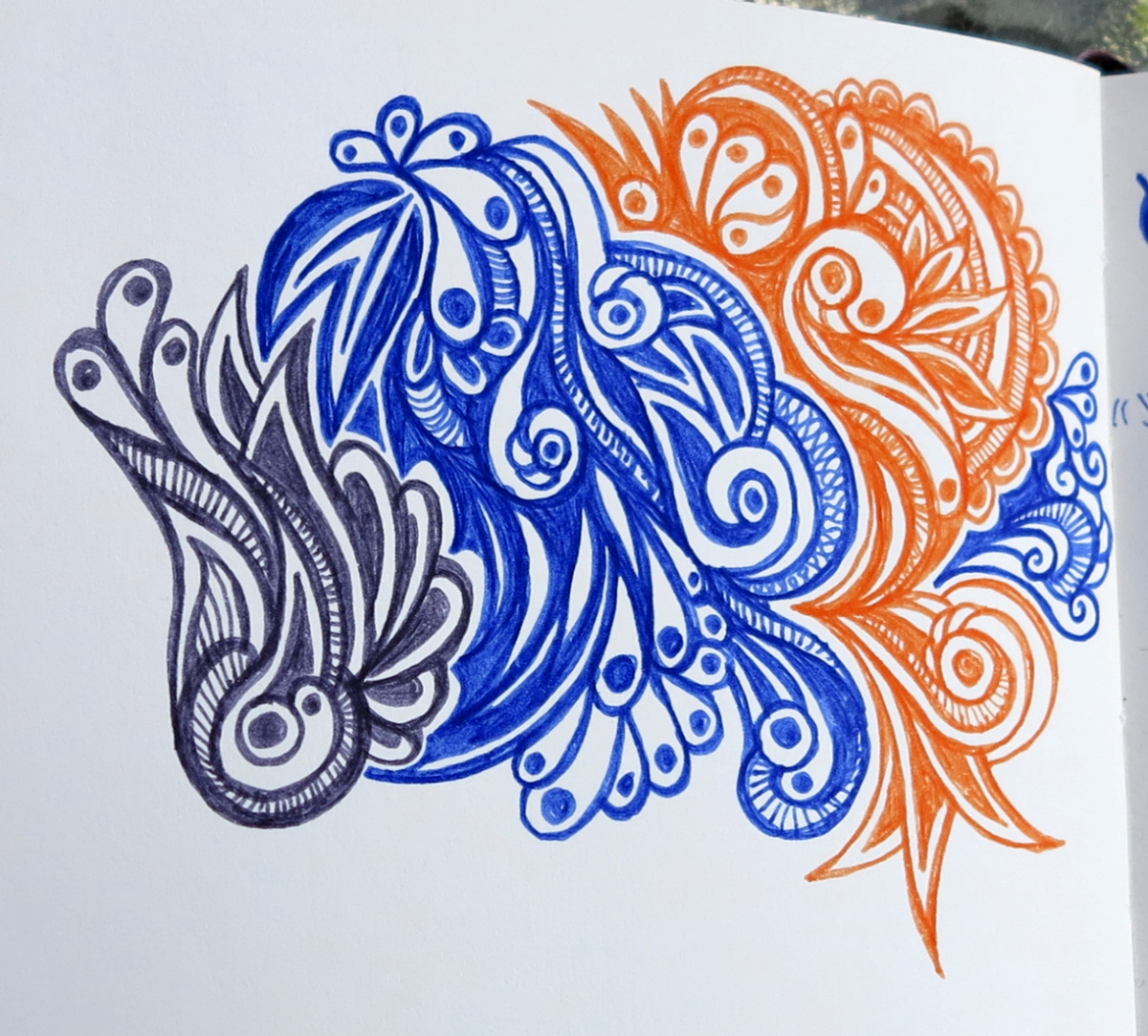 coloured squiggles